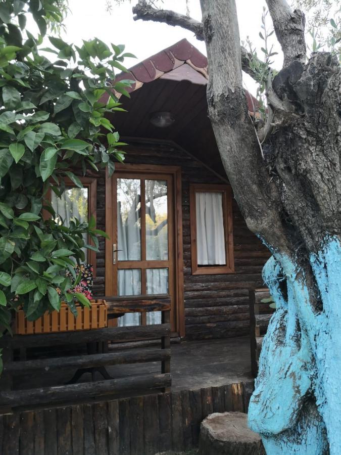 Zeytindagi Bungalow Mehmetalani Екстер'єр фото