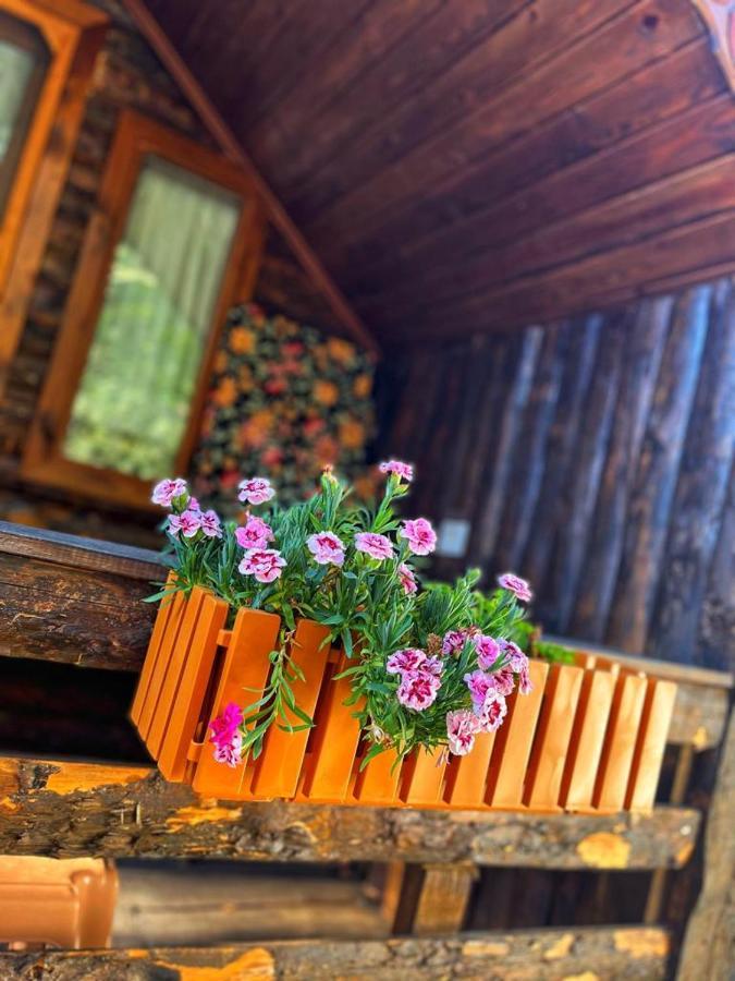 Zeytindagi Bungalow Mehmetalani Екстер'єр фото