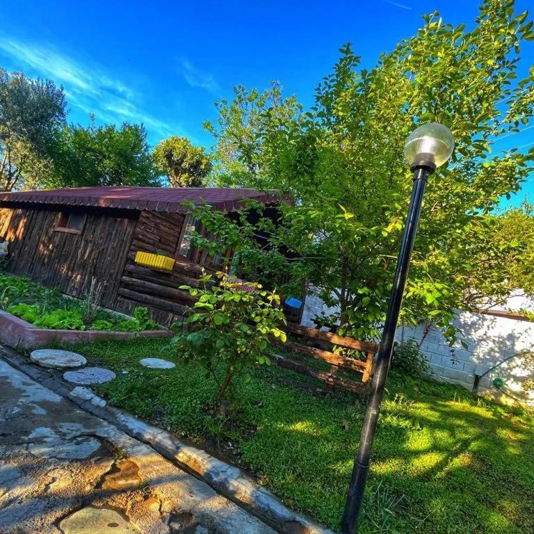 Zeytindagi Bungalow Mehmetalani Екстер'єр фото
